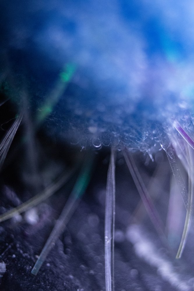 Photograph by Надежда Богачкина