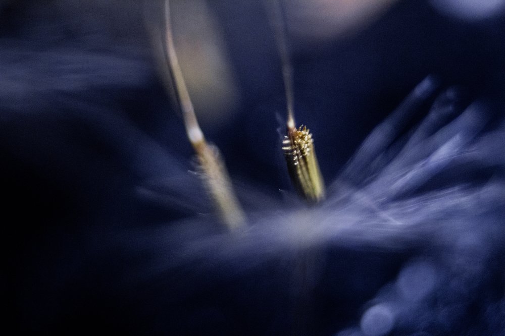 Photograph by Надежда Богачкина