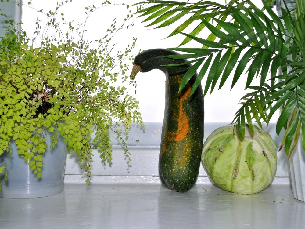 Фотография автора Клавдия Васильева