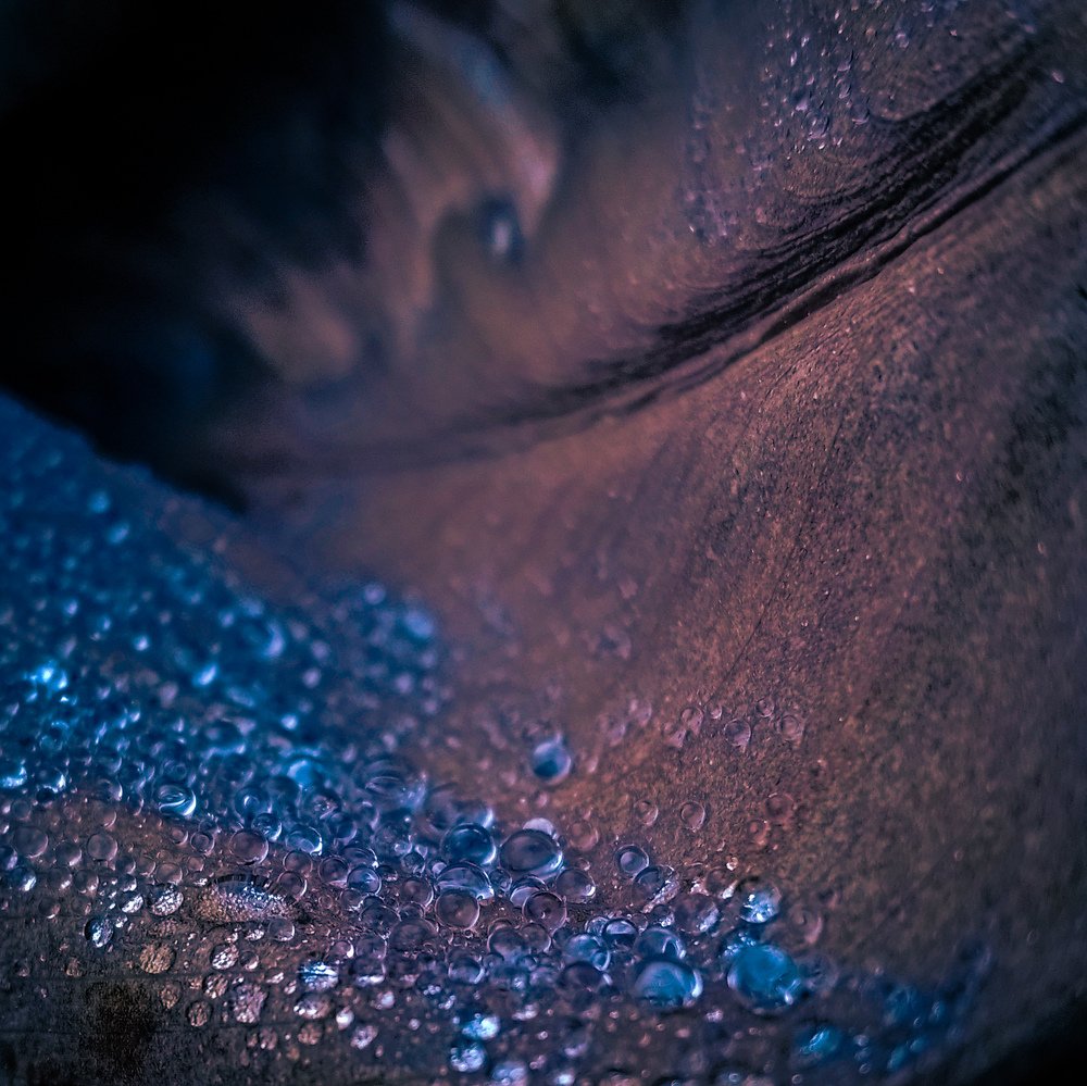 Гидросферическая туманность