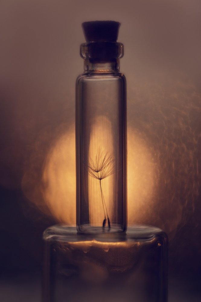 вместе / together