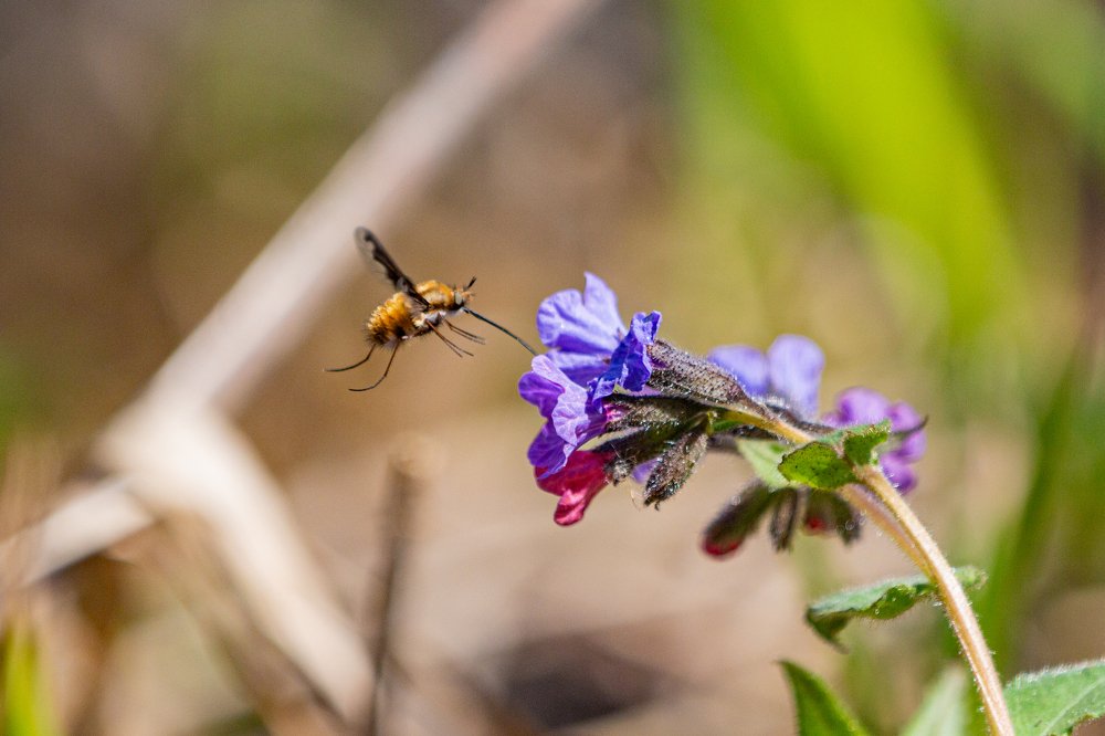 Весенний завтрак