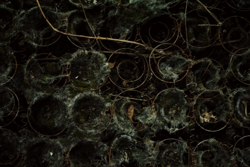 Photograph by Анна Клюкина