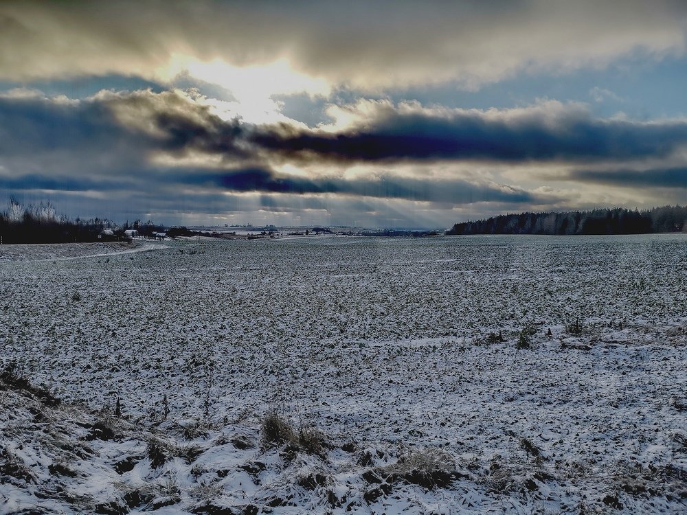 Фотография автора Павел Барский