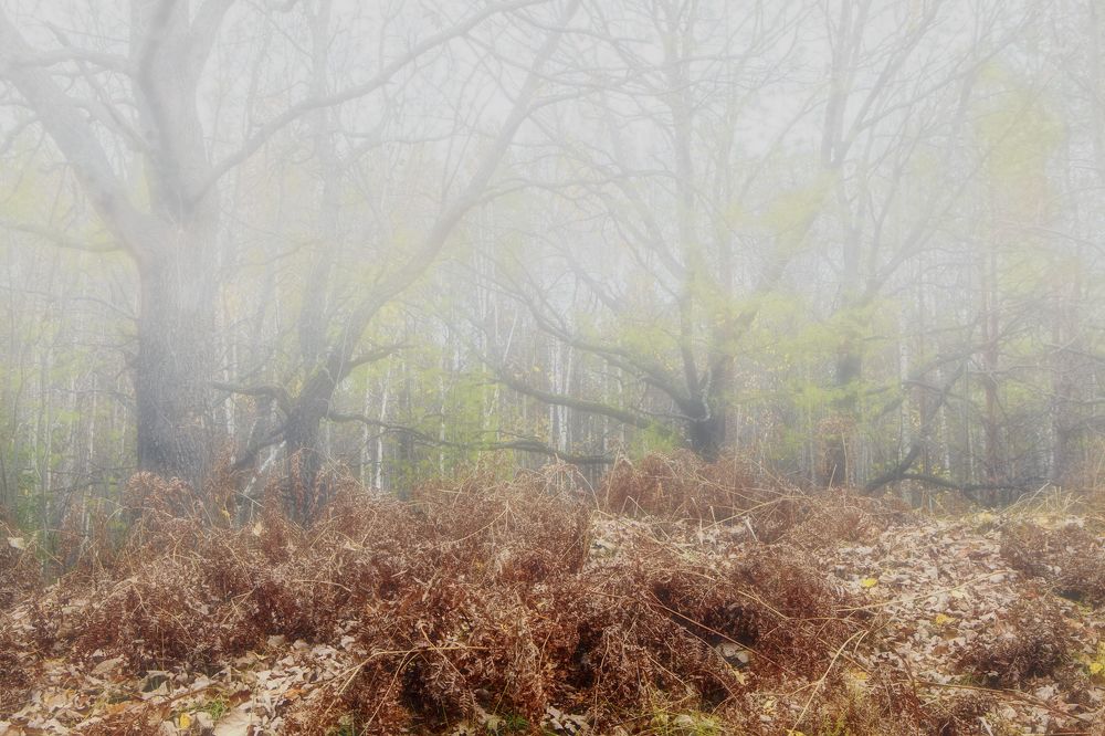 Photograph by Kuzmichev Alexey