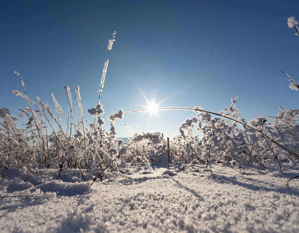 Зимняя сказка