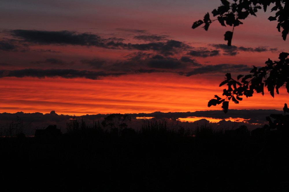 Photograph by Надежда Богачкина