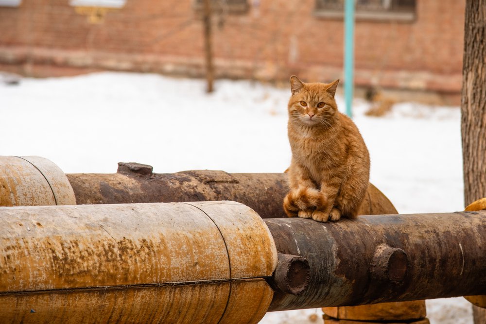 Photograph by Станислав Остраница