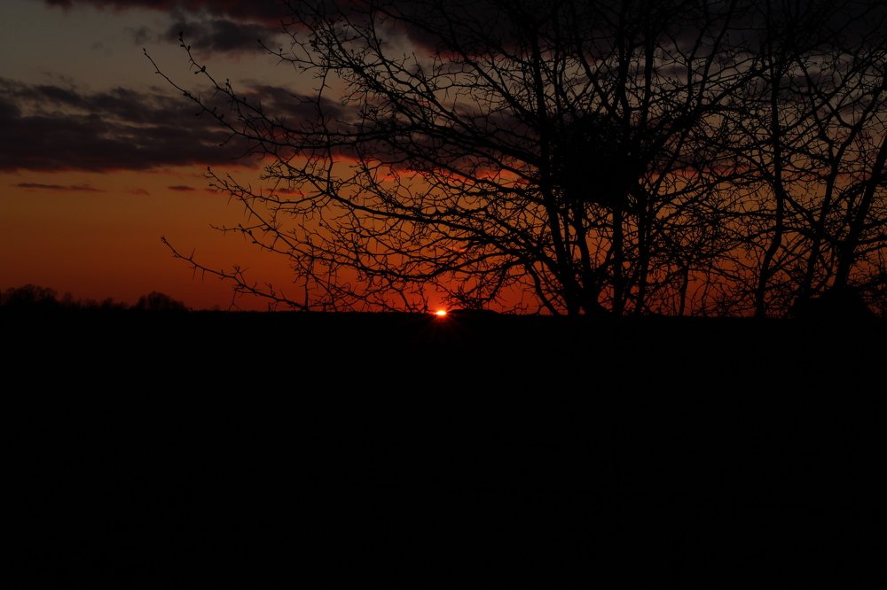 Photograph by Надежда Богачкина