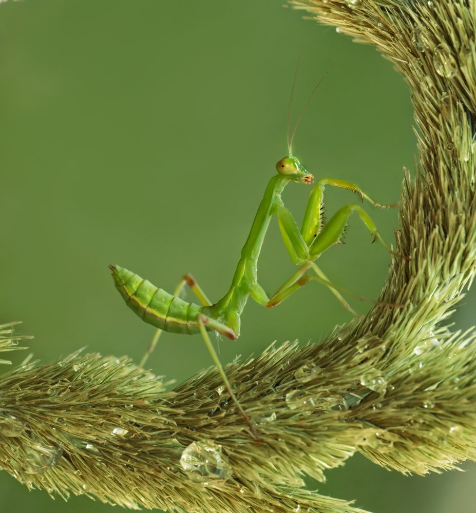 Photograph by Тараненко Анжелика