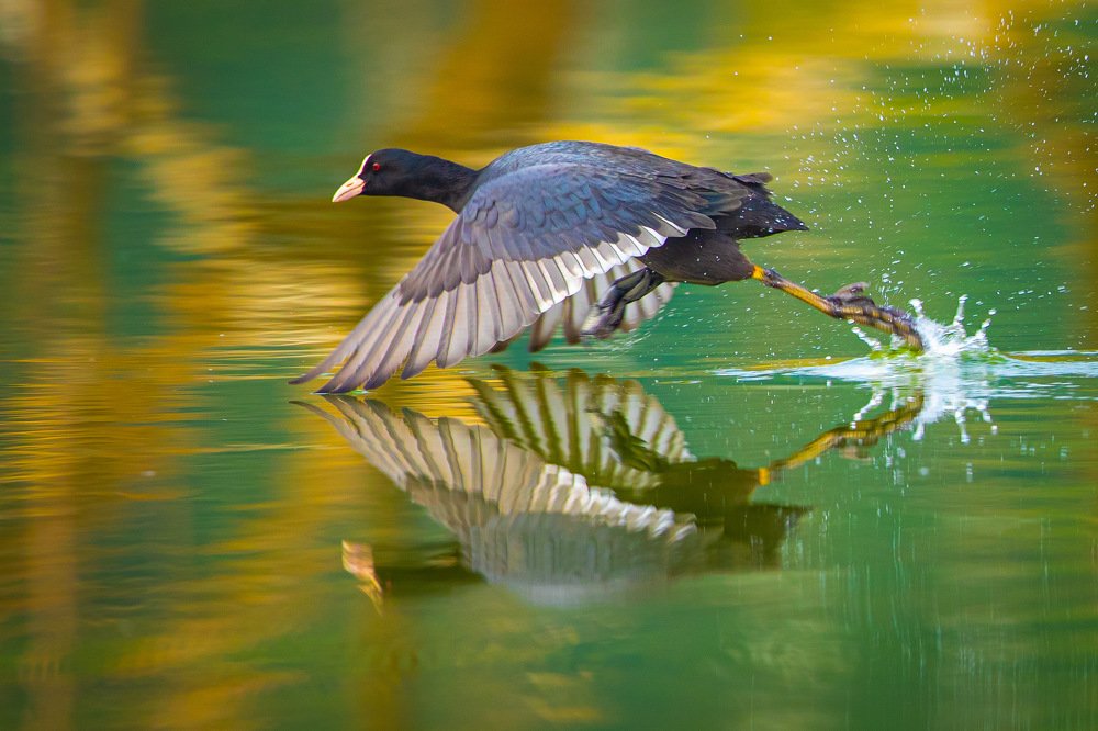 Photograph by Rin Võ