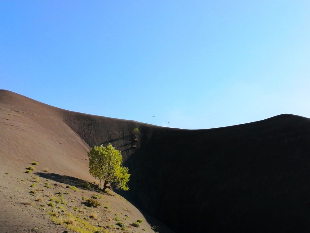 Photograph by Hossein Azizian