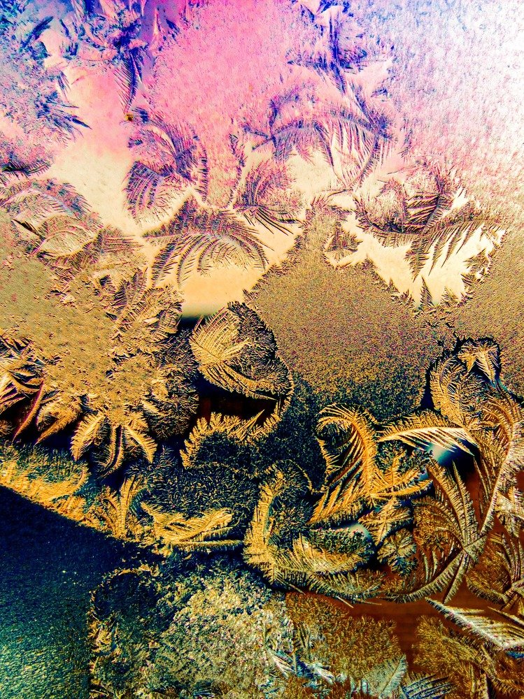 Photograph by Дмитрий Кузнецов