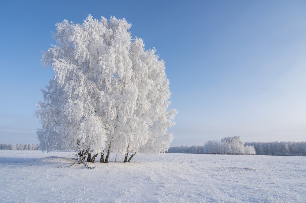 Photograph by Сергей Черкашин