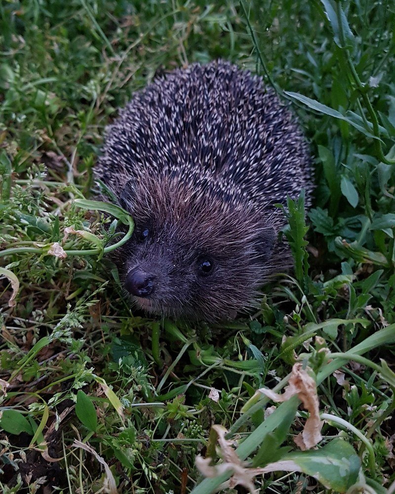 Photograph by Хачик Аджатян