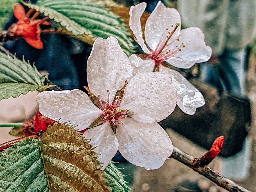 Photograph by Людмила Олеговна