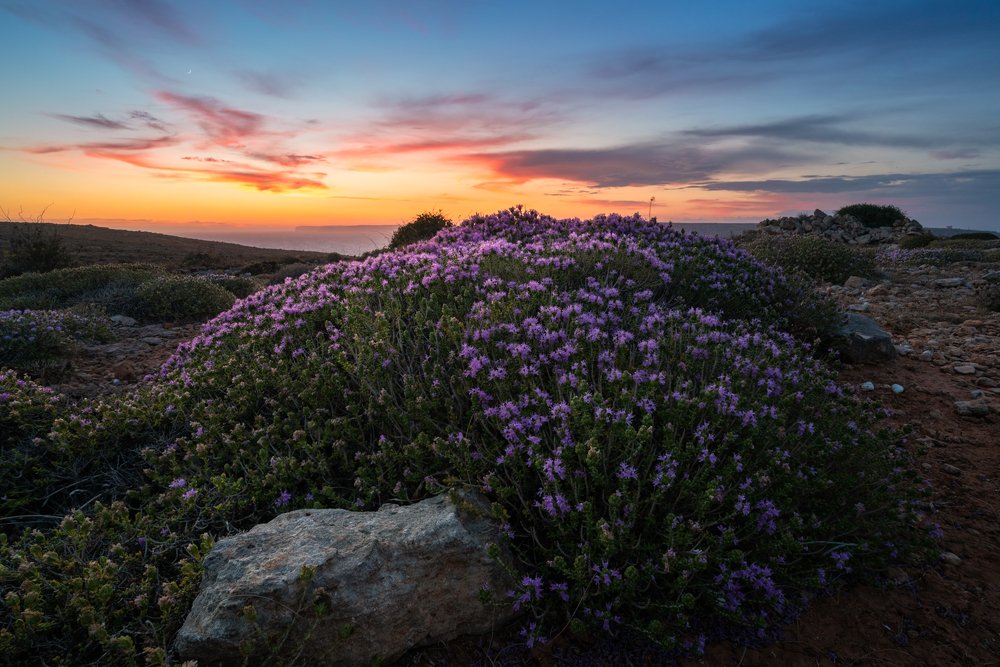 Photograph by Martin Galea