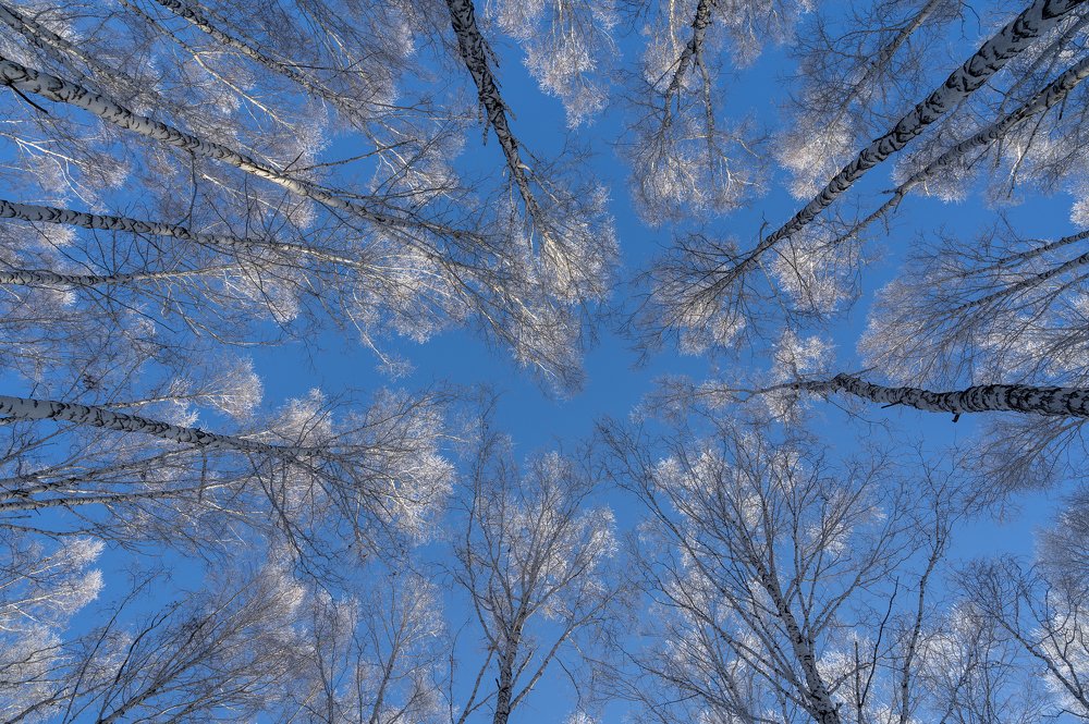 Photograph by Сергей Черкашин