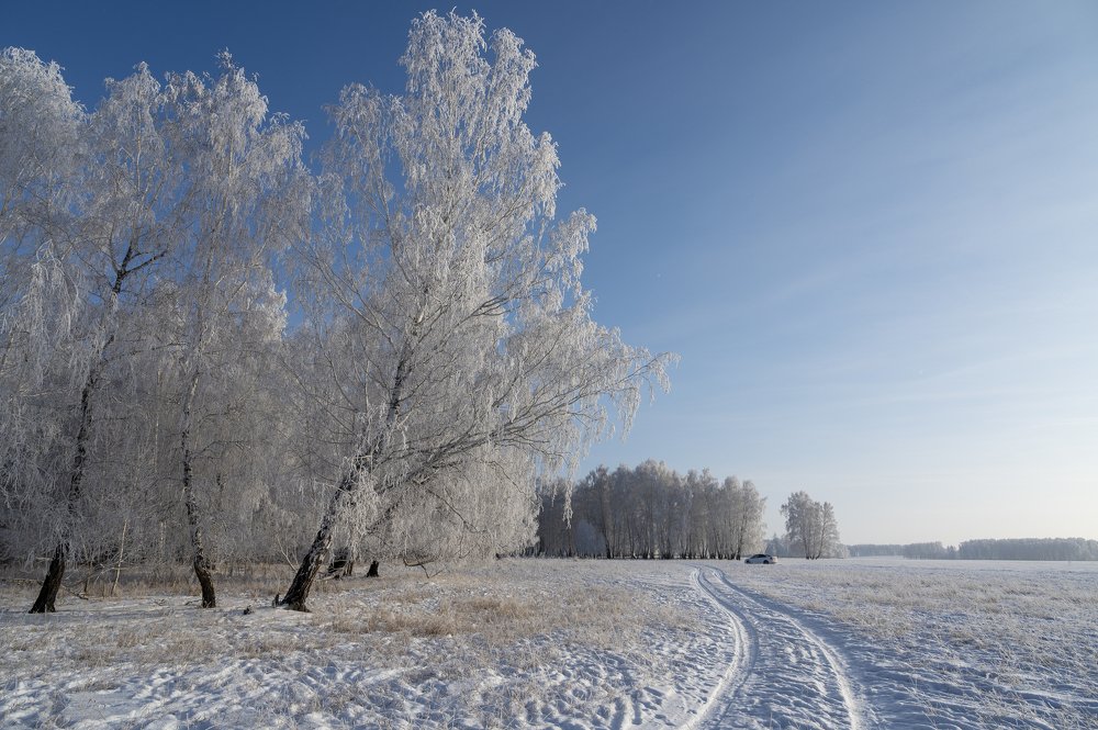 Photograph by Сергей Черкашин