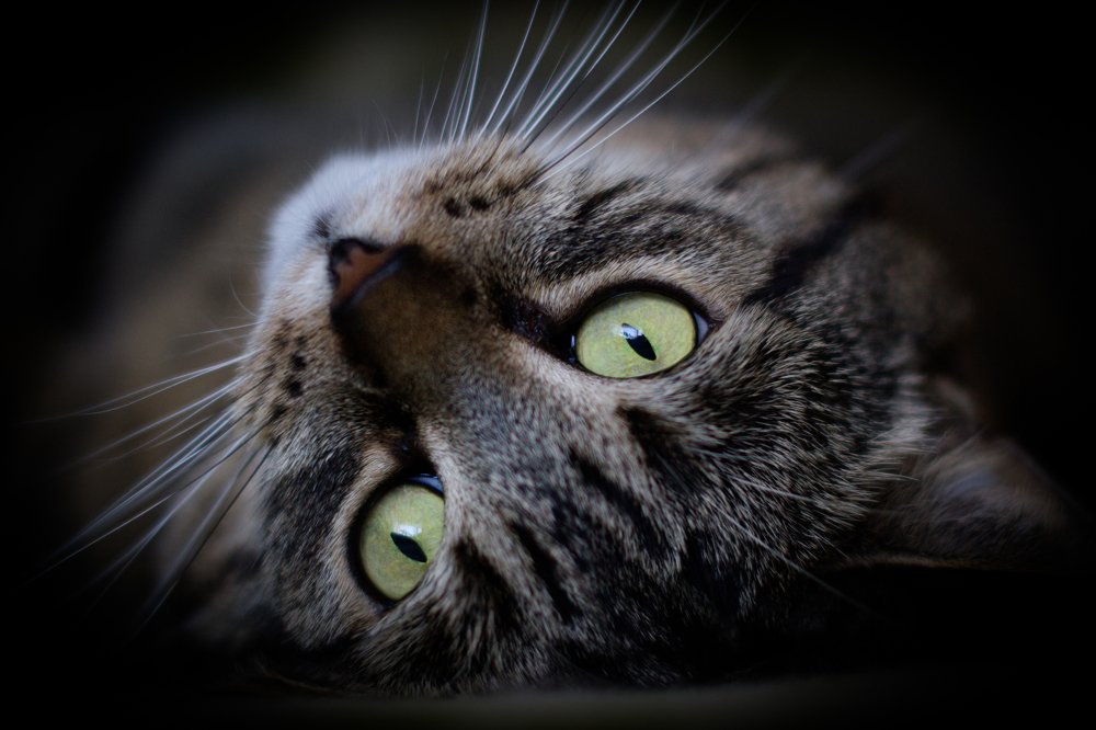 Photograph by Viktorija Baranova