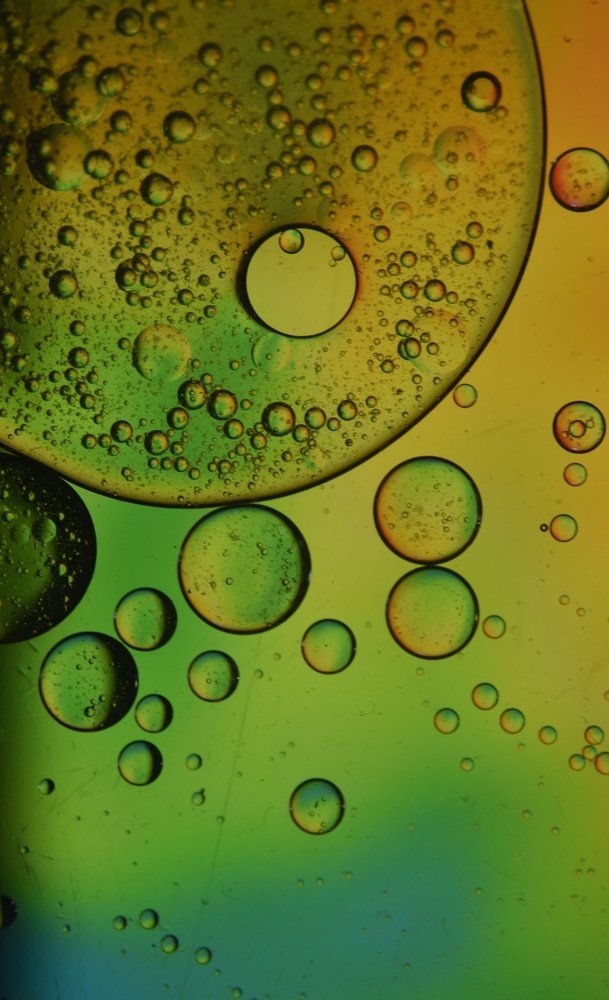 Photograph by Susanjit Saha