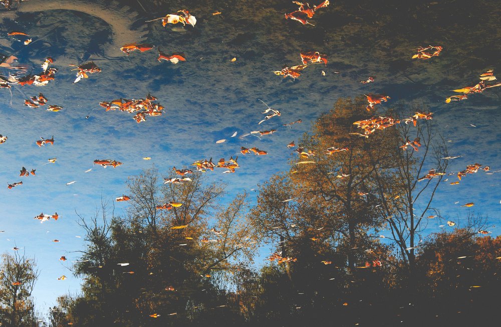 Photograph by Artyom Bukreyev