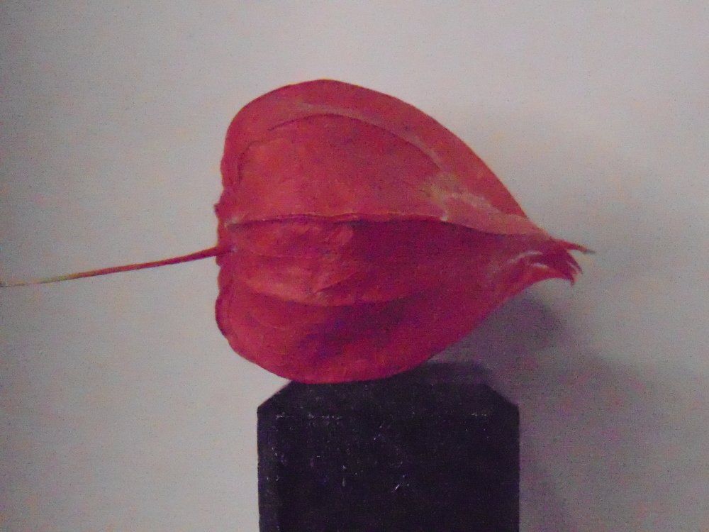 Photograph by Ольга Шевцова