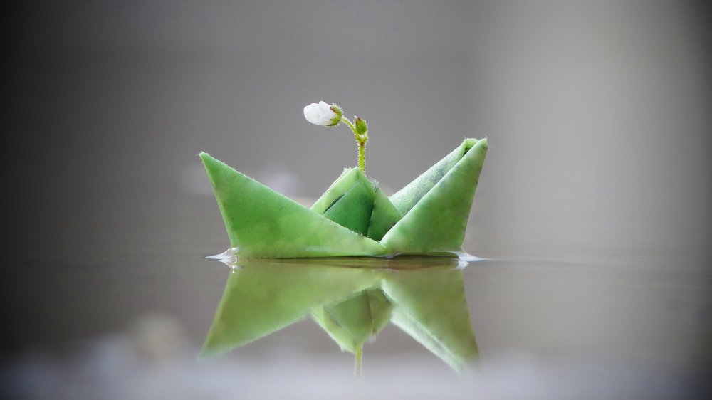 Photograph by ali bakhshi