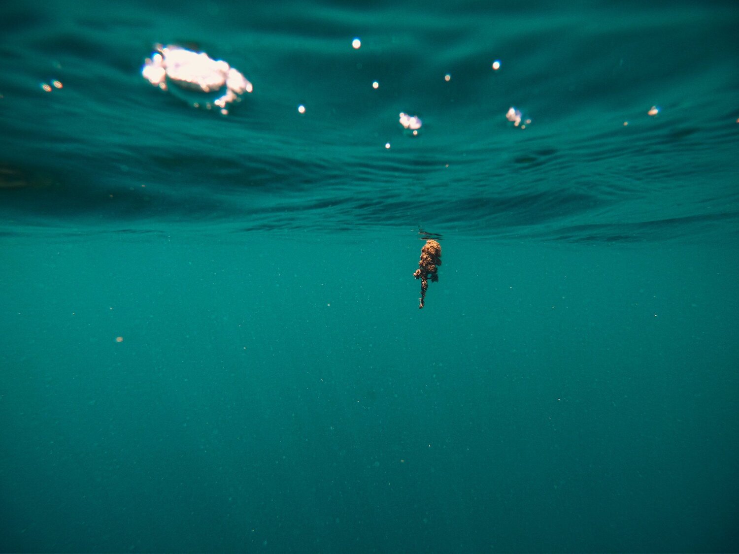 Photo #5410781