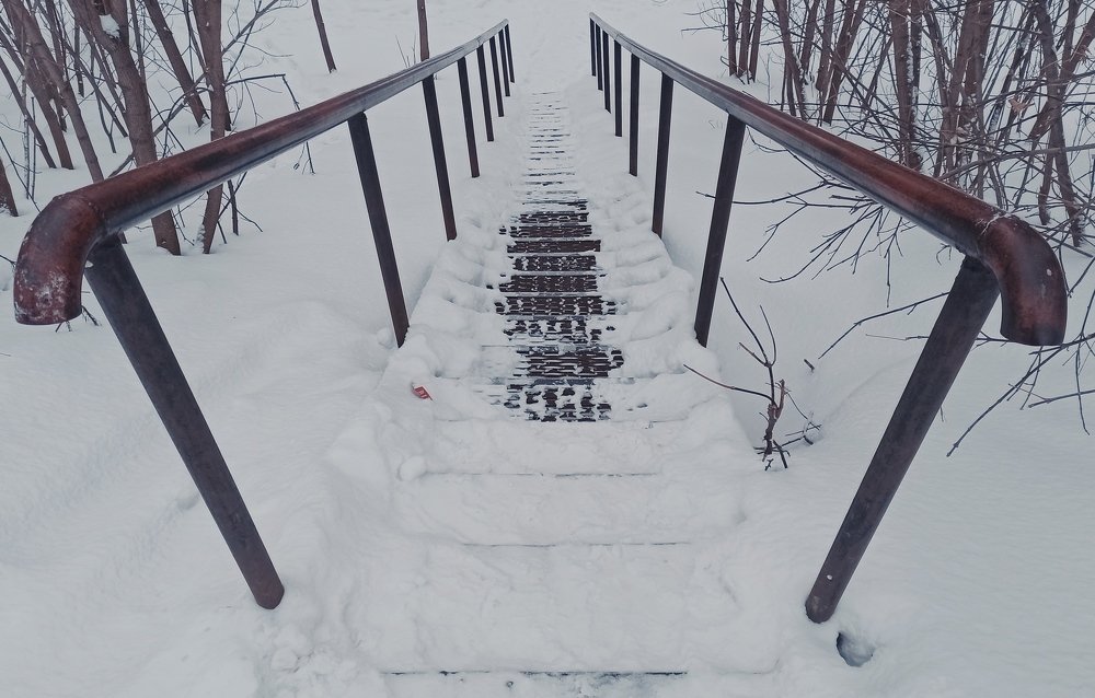 Фотография автора Максим Зубарев