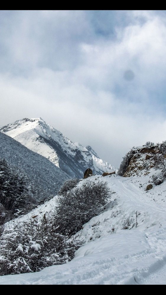 Photograph by Николай Морозов