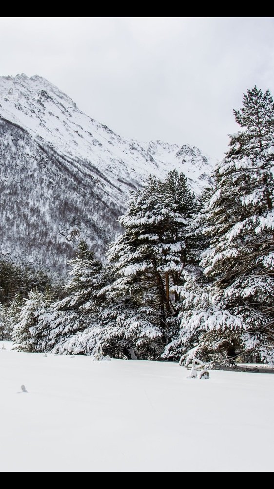 Photograph by Николай Морозов