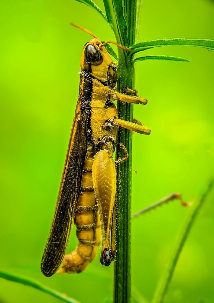 Photograph by sandhya kudli