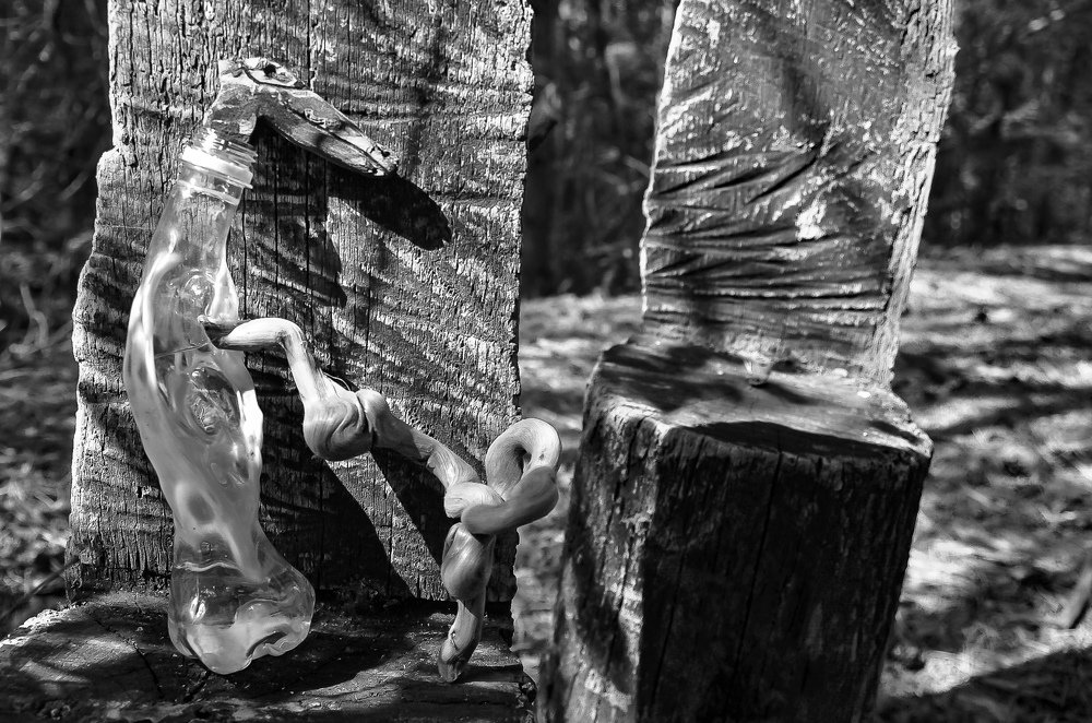 Фотография автора Владимир Брызгунов