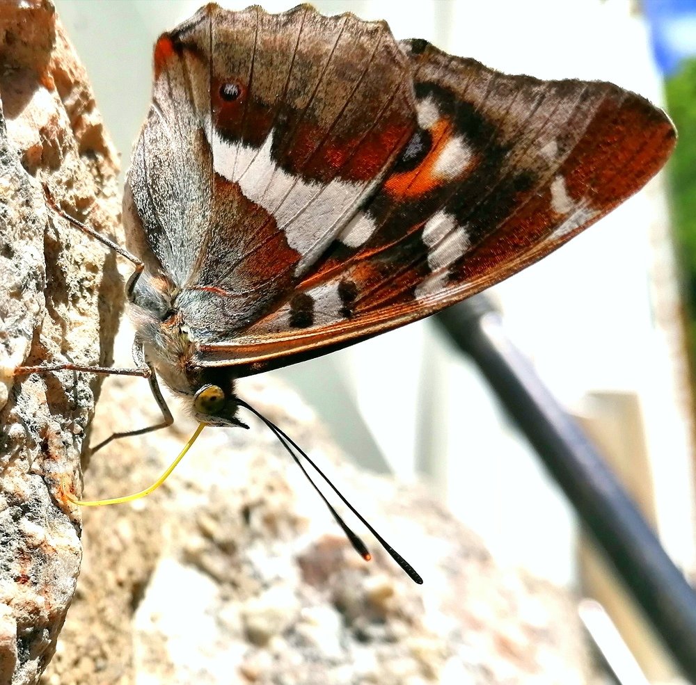 Photograph by Tomas Fokt