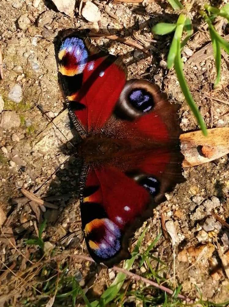 Photograph by Tomas Fokt