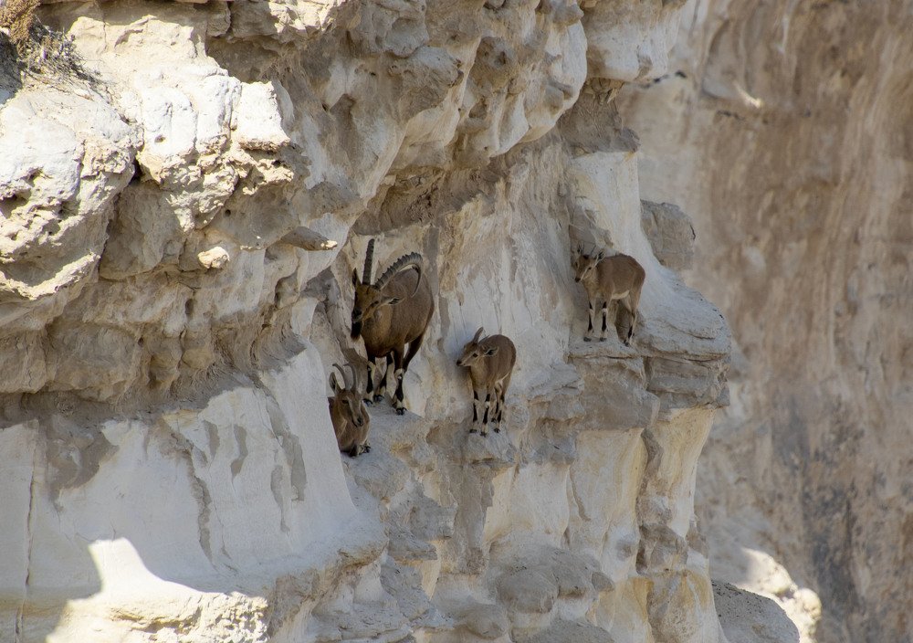 Photograph by Валентина Лопаткина