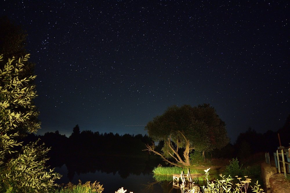 Photograph by Ирина Алексеевна Дудаль-Вологодская