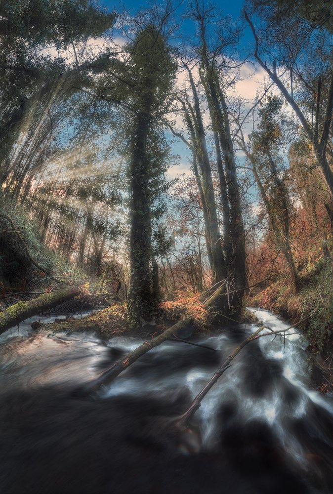 Photograph by Diego Lema Mira