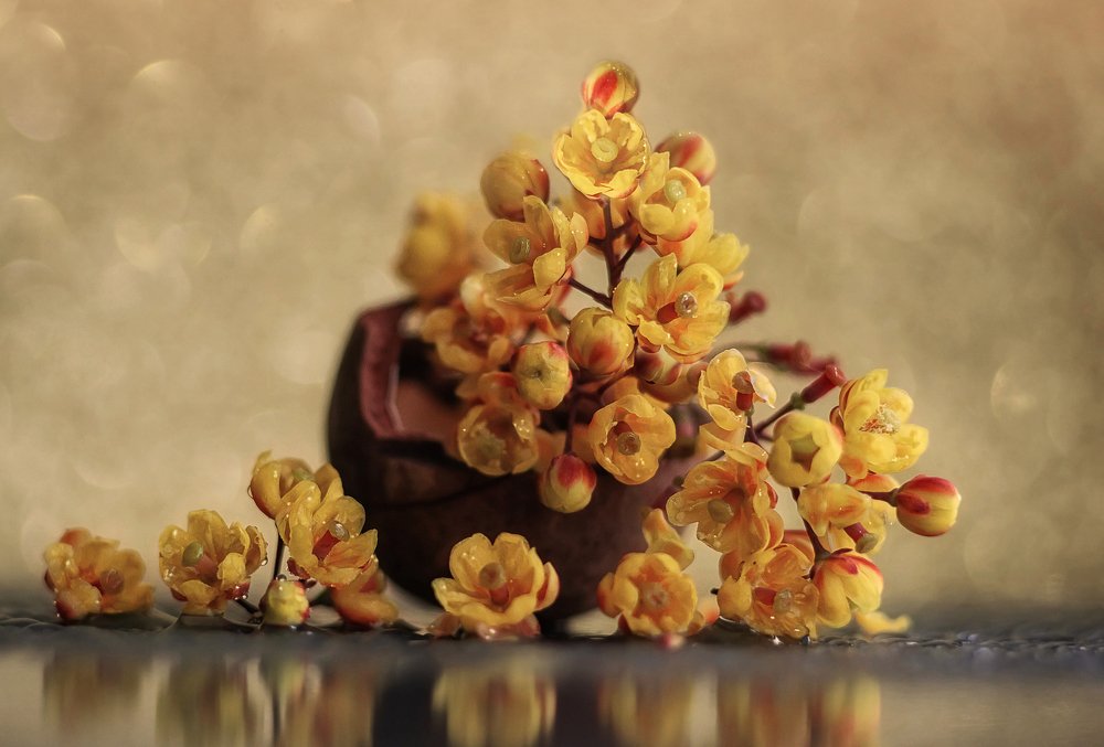 Photograph by Татьяна Минаева