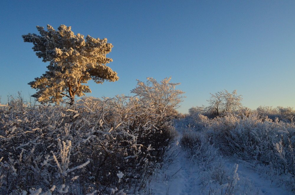Photograph by Юрий Курынов