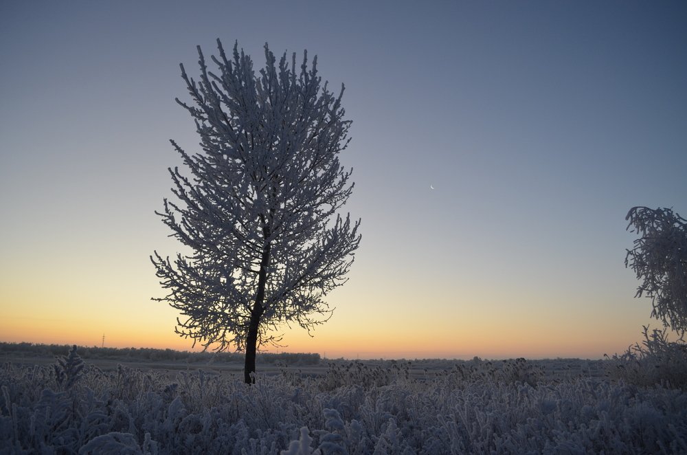 Photograph by Юрий Курынов