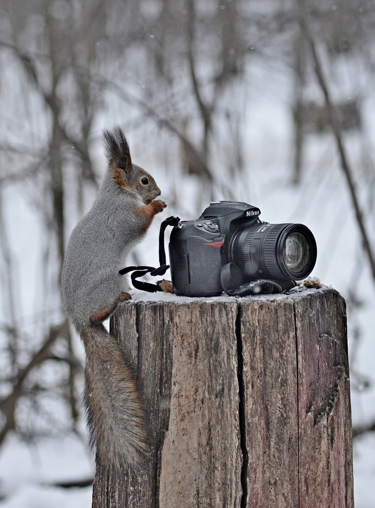 Photograph by 