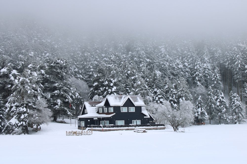 Photograph by AKIN KALAYCI