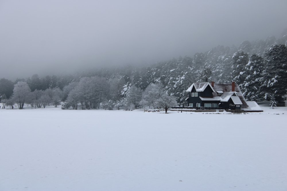 Photograph by AKIN KALAYCI