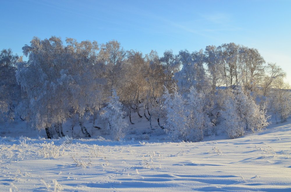 Photograph by Юрий Курынов