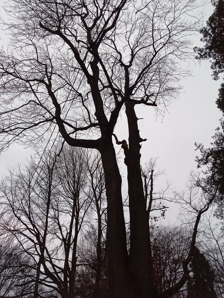 Photograph by Елена Шерман