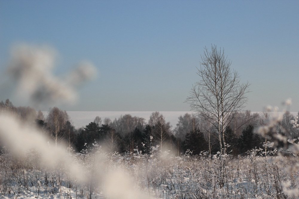 Photograph by Наталья Анкудинова