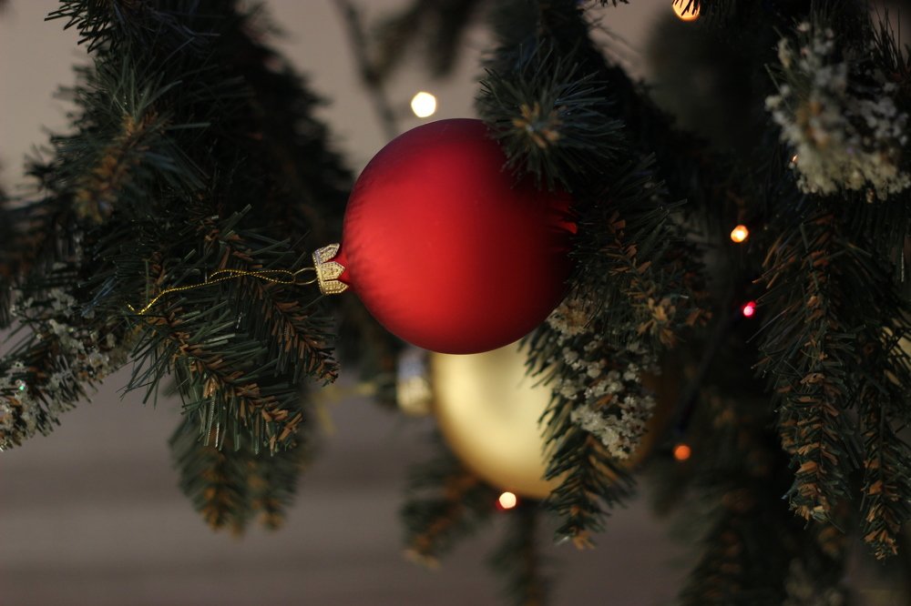 Photograph by Юлия