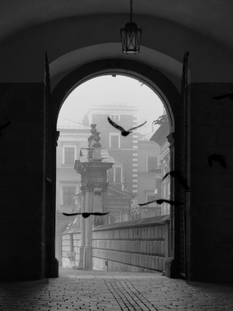 Photograph by Palina Mikhailouskaya